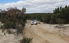 09-Demon climbs a Wyperfeld sand dune